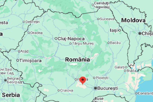 CEF VIȘINA 1